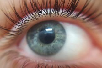 Thumbnail contacts 4